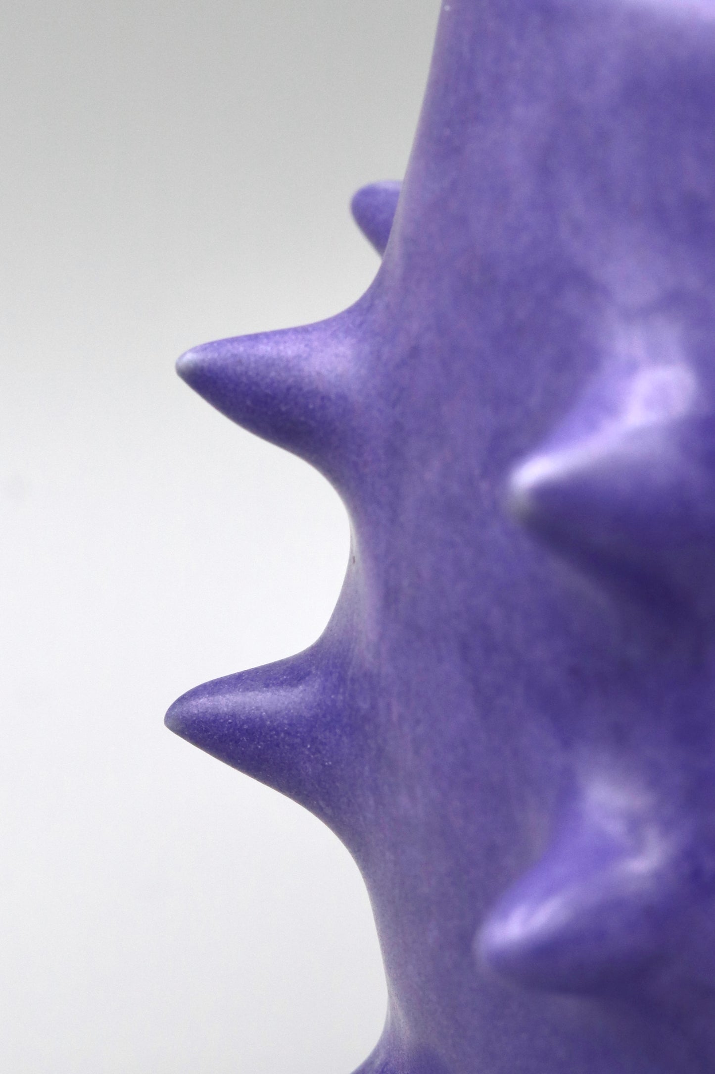 Grape Spike Mug